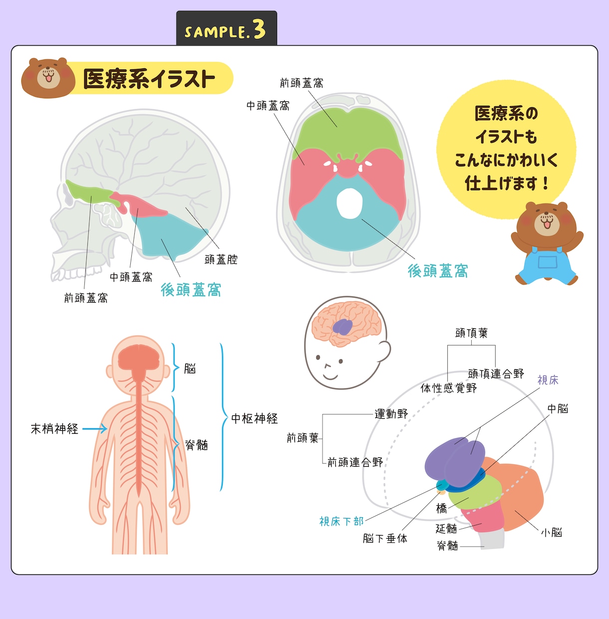 学参教材や理科図版、医療系イラストなど承ります リアルからかわいいまで正確でわかりやすい図版を作成します！ イメージ4