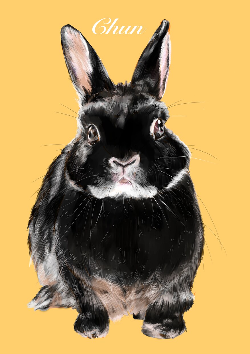 ペットの似顔絵お描きします 元日本画学科の美大生がお描きします イメージ5