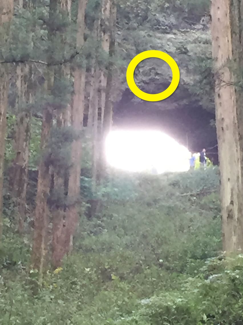 写真鑑定致します 占いでは運勢がいいはずなのに…という人や、それ以外の人も イメージ4