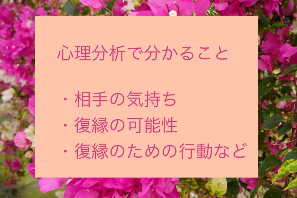 30の質問と心理学で、お相手様の気持ちを分析します 旧帝大卒、心理学に詳しいカウンセラーが復縁をサポートします イメージ2