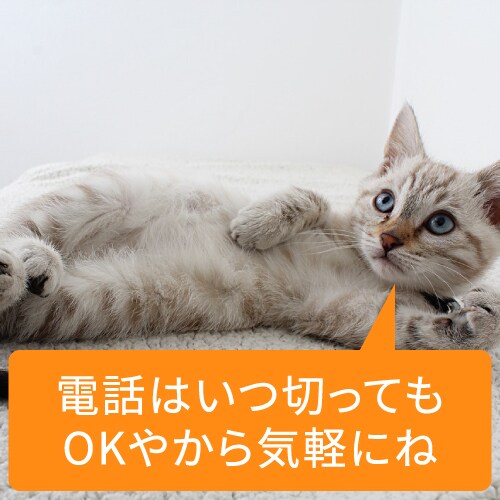 悩み相談。恋愛やお金の悩みも。電話で悩み相談します 関西弁の若造が、あなたの悩みに心から寄り添います。 イメージ5