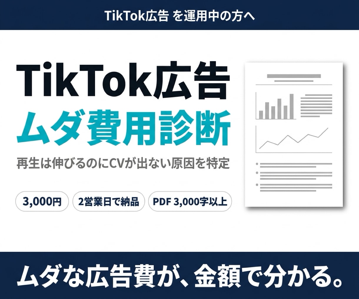 現役運用者がTikTok広告を診断します 「素材が当たらない」を数値で解明。CSVを送るだけで診断 イメージ1