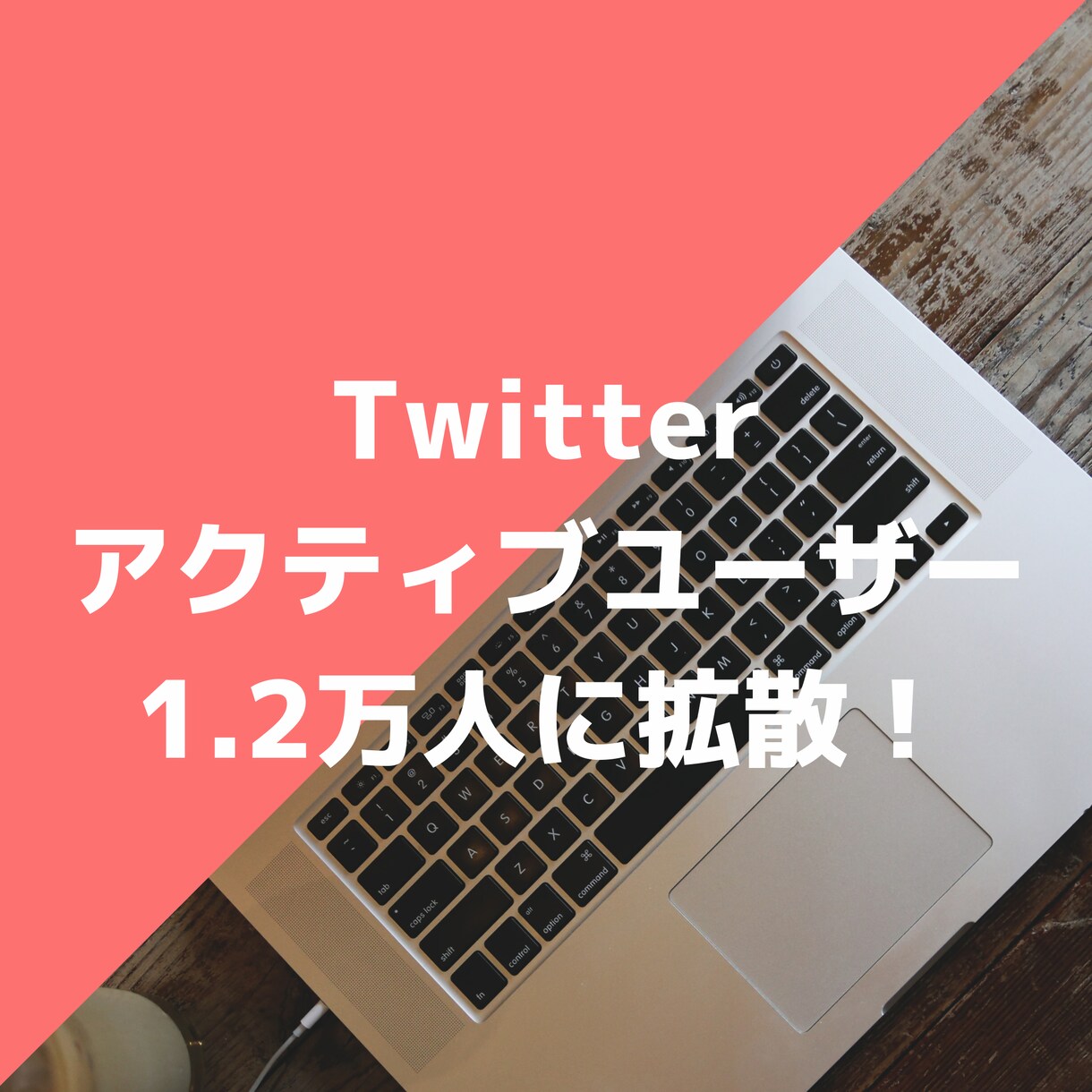 セール中！Twitterで1.2万人に拡散します 影響力の高い人が多い1.3万人へ拡散します！ イメージ1