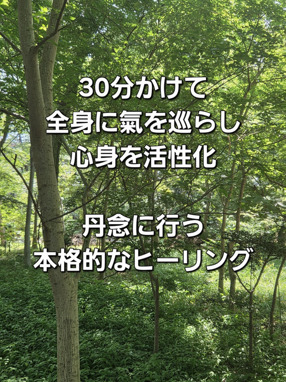 身体のヒーリングを行います 氣の術で身体全体の調子を整えます。 イメージ2