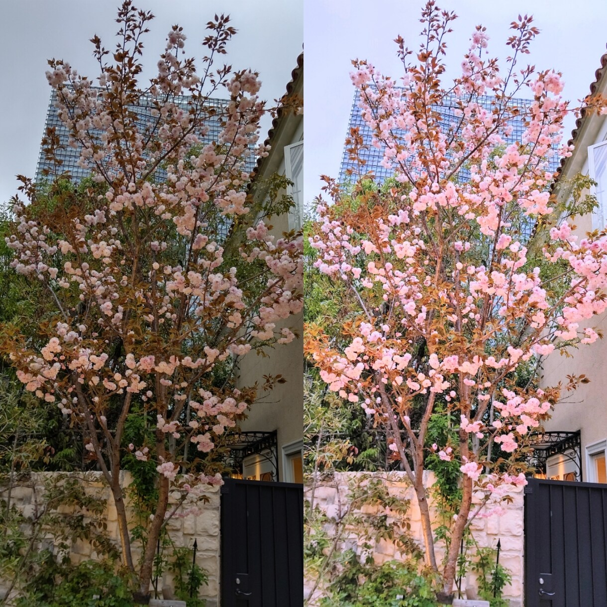 苦手だけど写真を鮮やかにしたい❕を叶えます 。せっかくの思い出…そのままでいいですか？鮮やかに蘇りますよ イメージ3