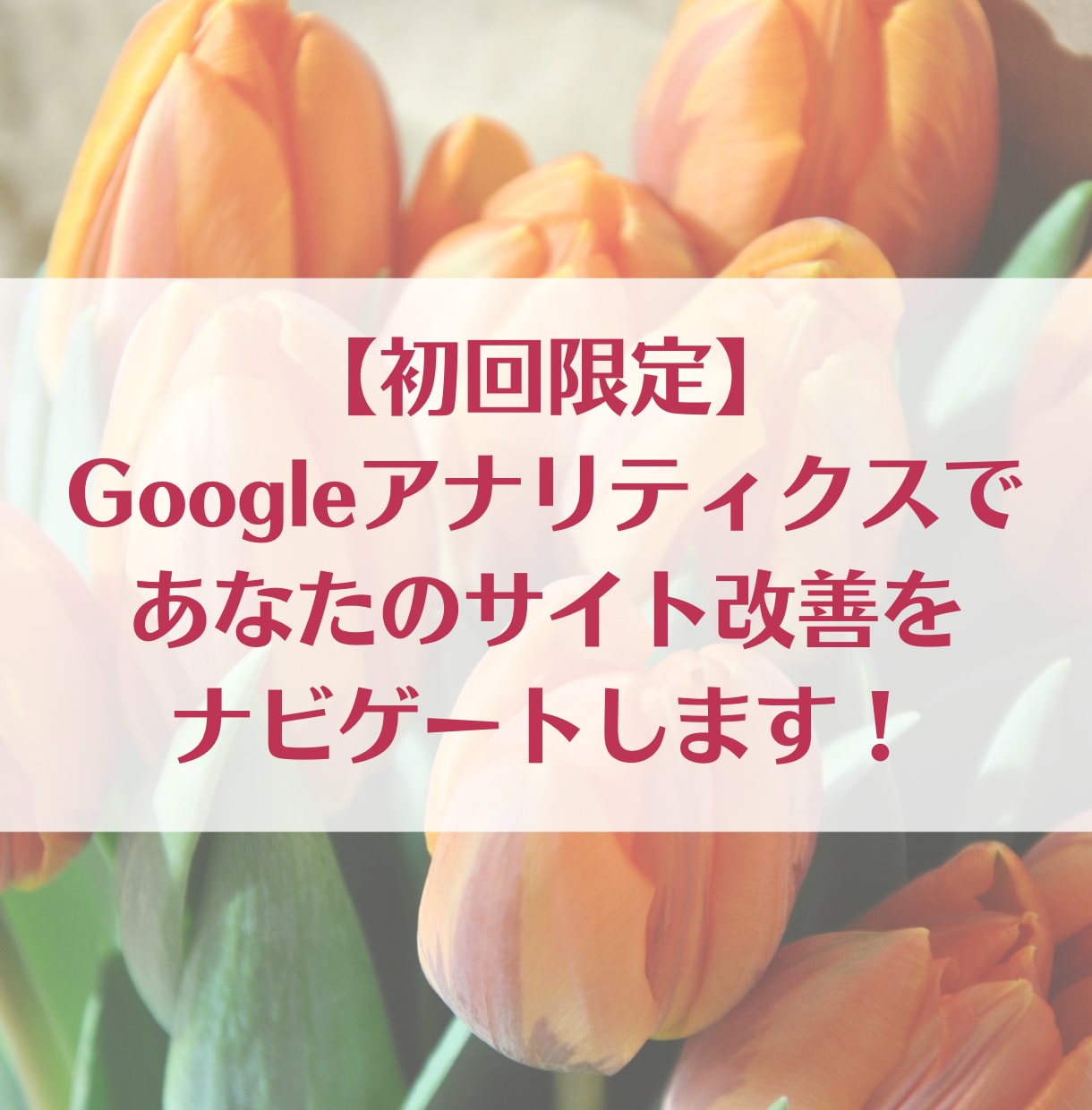 初回限定！成果に繋がるサイト分析でご支援します すぐできる改善点から長期施策までお悩み解決案をご提示します！ イメージ1