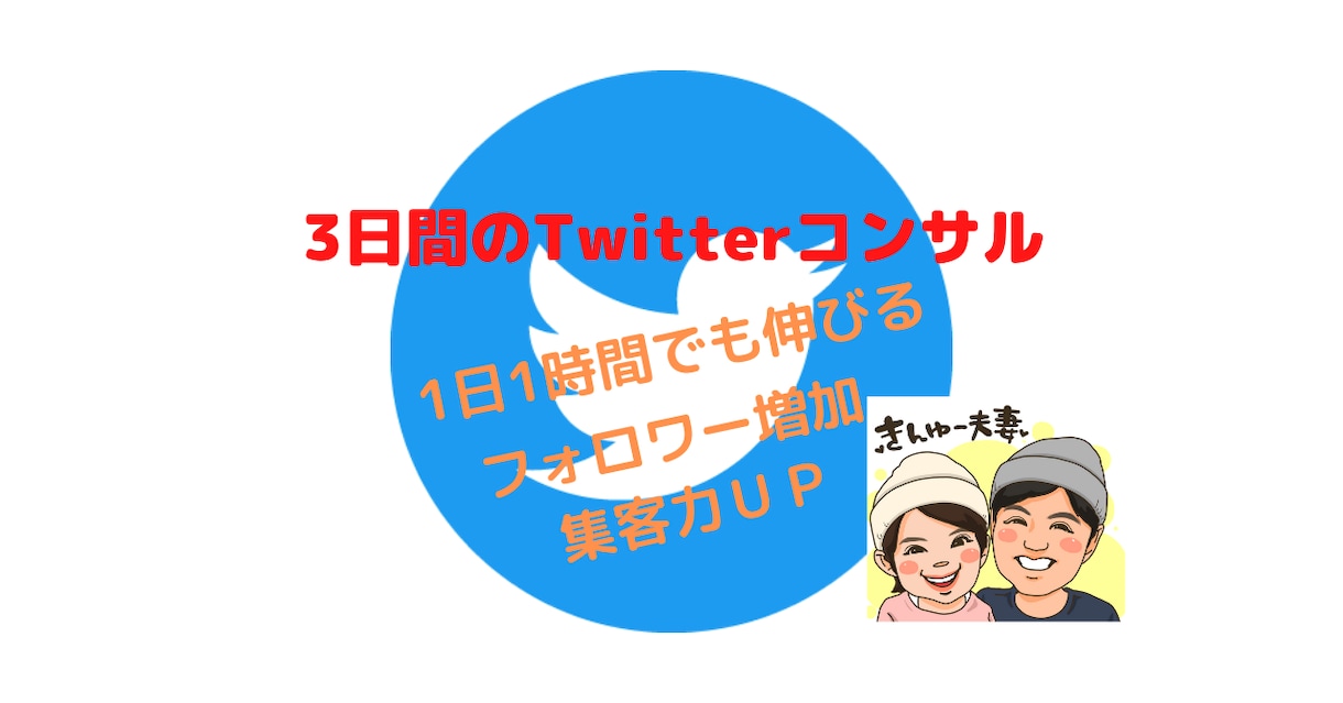 3日でTwitterが伸びるようにコンサルします 【初心者でも安心】丁寧な対応でコンサル初めての方におすすめ。 イメージ1