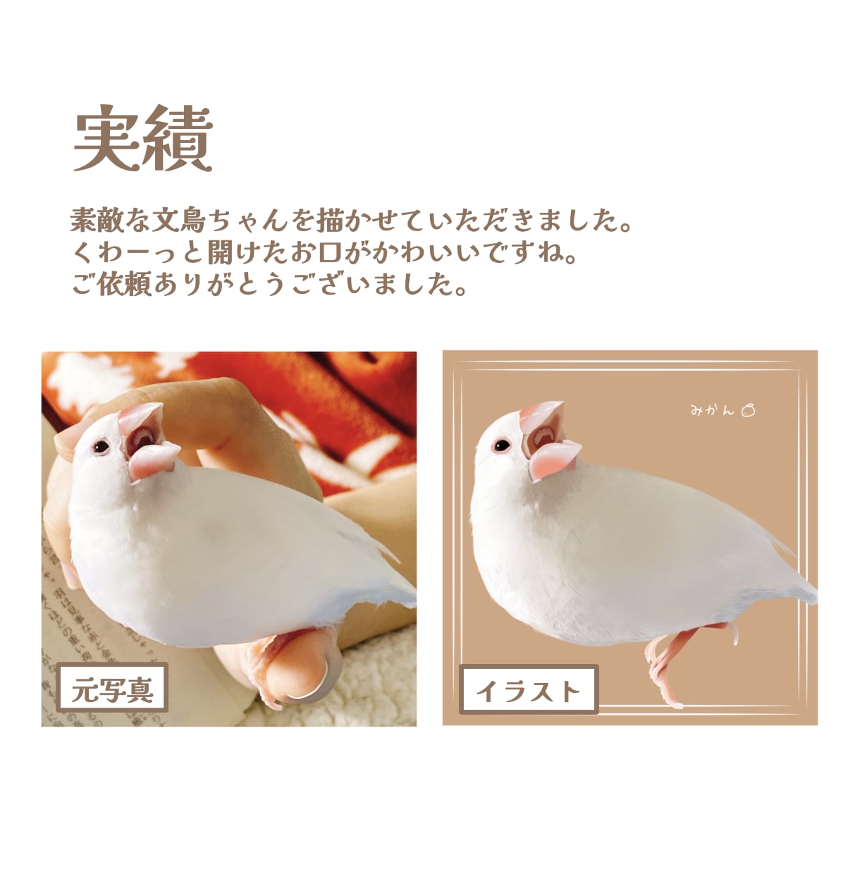 動物のイラストお描きします 小動物から爬虫類まで！どんな動物もリアルでやわらかい雰囲気に イメージ2