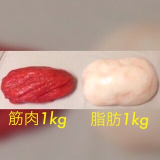 本気で痩せたい方！正しいダイエット方法教えます しっかり食べて痩せる！太りづらいカラダ作りの極意 イメージ1