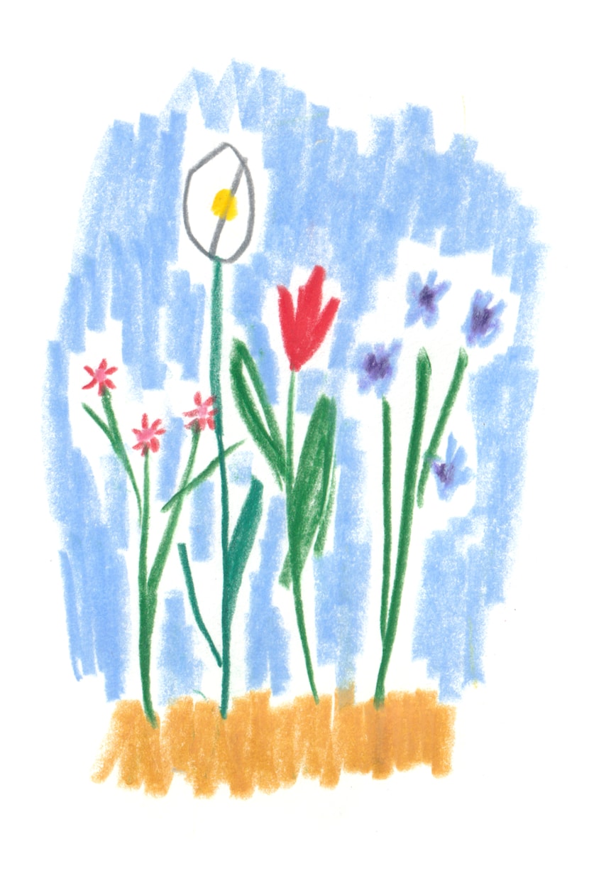 アナログイラスト！色鉛筆画で動物、植物を描きます AIイラストでは出せない味のある&温もりのある手描きイラスト イメージ7