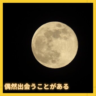ツインソウル・ツインレイ⭐️のご縁を繋げます ツインソウル、ツインレイなどの関係性をぜひお話ください✨ イメージ6