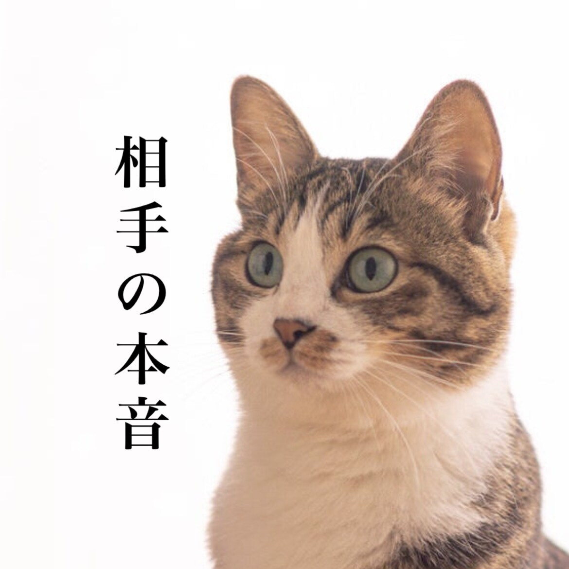 即対応/お相手の本音を霊視します 霊視で相手の本音を知り、より深い関係に。 イメージ1