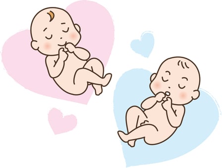 赤ちゃんの性別を診断します 安くて試しやすい！一度ご相談ください♪ イメージ1