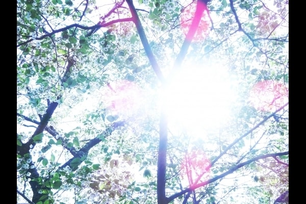 未来に向いたい方★現状鑑定しアドバイスします 誰にも言えずに悩んでいる気持ちをお聞きします。 イメージ1