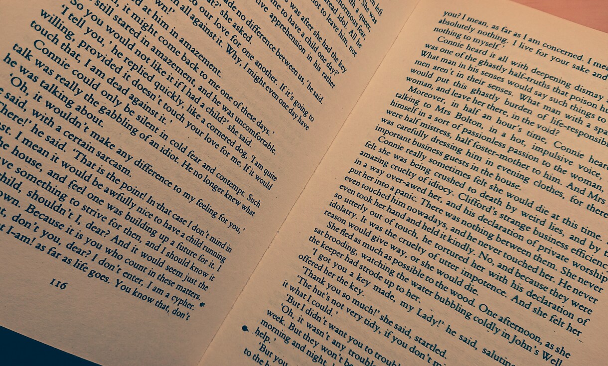 英語翻訳～洋楽・短編小説などを和訳いたします 課題で躓いている方、直訳で止まってしまう方へ イメージ2