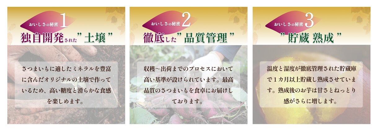 2デザインご提案◎女性目線のWEB画像作成します ライター検定保持◯テキスト作成も基本料金にて対応可能です。 イメージ8