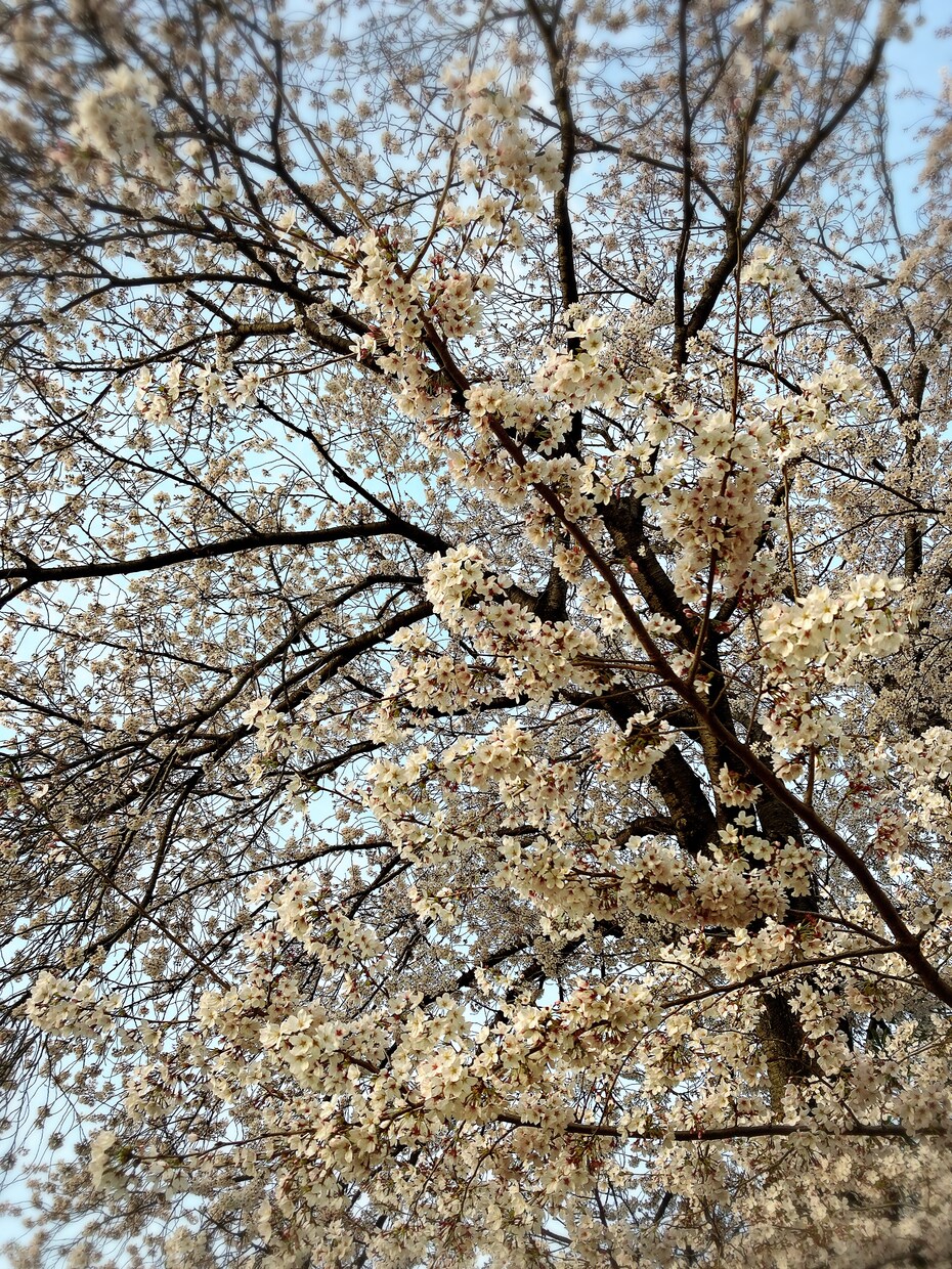 悩みやお話もお聞きしてお役に立ちたいと思います 新卒から1年で鬱/ADHD気味/家庭環境悪/いとこが発達障害 イメージ1