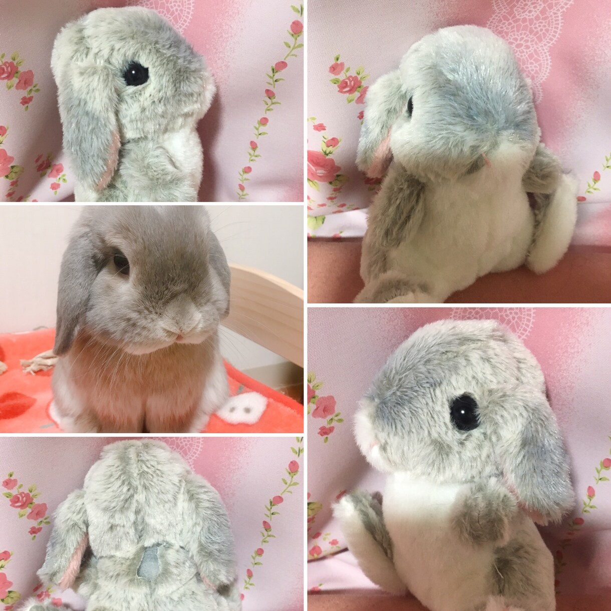 ペットのぬいぐるみ作ります 大切なペットのぬいぐるみをお作りします！ イメージ4