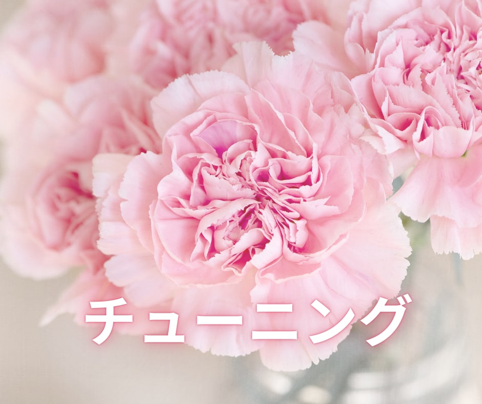心の整頓タロットで、忙しい思考の解放を手伝います ♬心が軽くなる３０分 ♬思考を整えるチャットタロット イメージ5