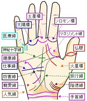 恋愛、仕事、貴方の悩みは？手相占いできます 恋愛、仕事、etcどんな悩みでもok! イメージ1