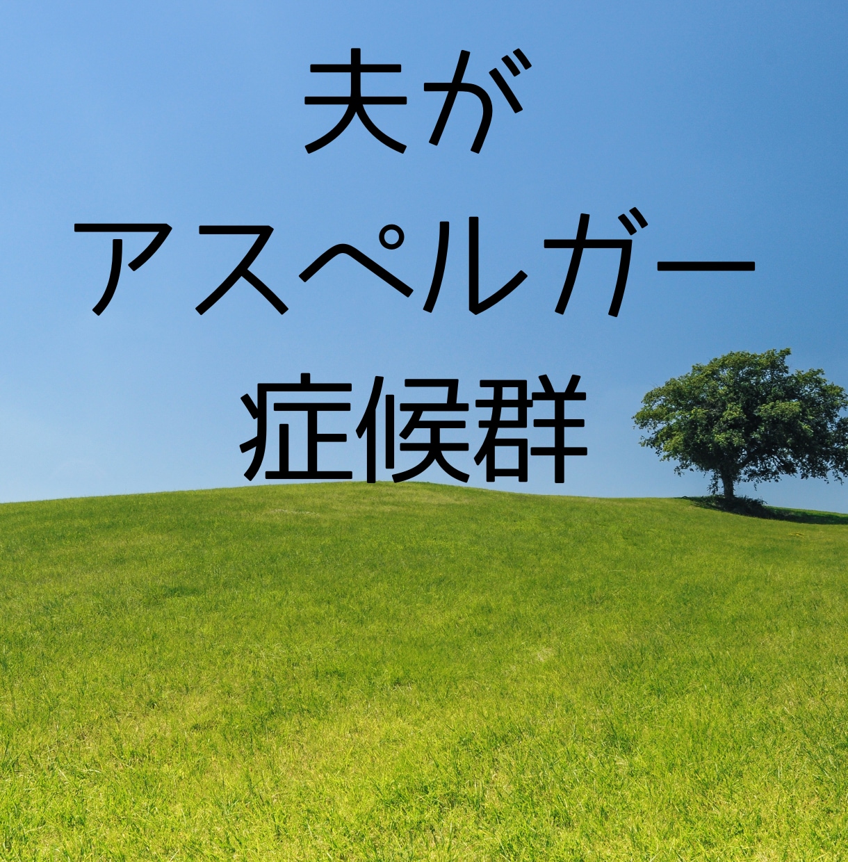 大人の発達障害／アスペルガー、ADHD相談できます カサンドラ症候群にならないように、その悩み、解決しましょう イメージ2