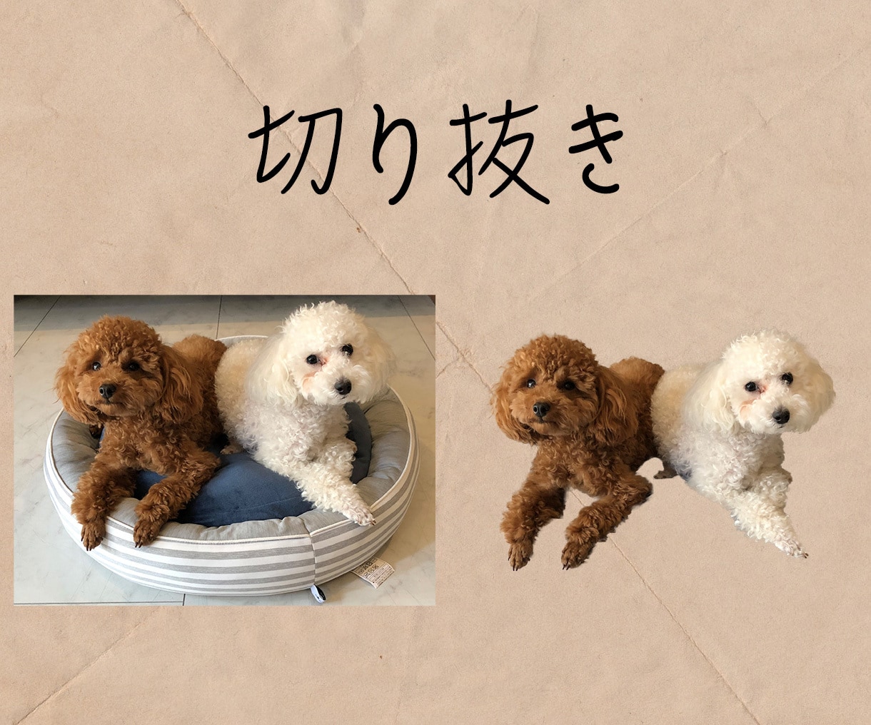 写真や画像などの編集・加工します あなたのデザインをお手頃価格で形にします イメージ3