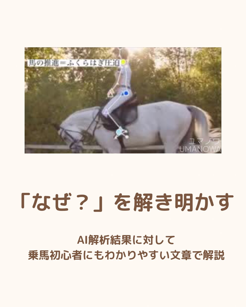 150-165㎝女性限定｜AI乗馬姿勢解析します あなたの姿勢を数値で可視化。AIと一緒に理想のフォームへ イメージ4