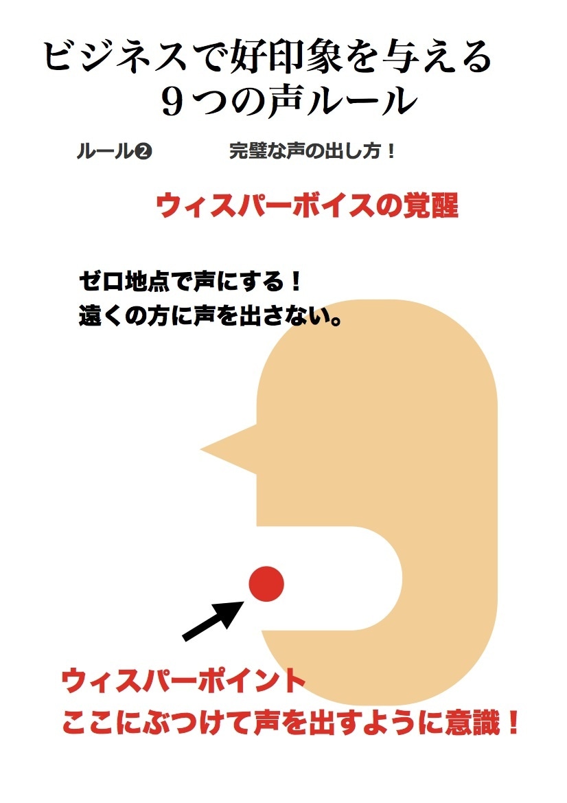 カリスマボイストレーナーがあなたの歌を聴きます カリスマトレーナーが初級・中級・上級・プロ級どれかで歌を評価 イメージ2