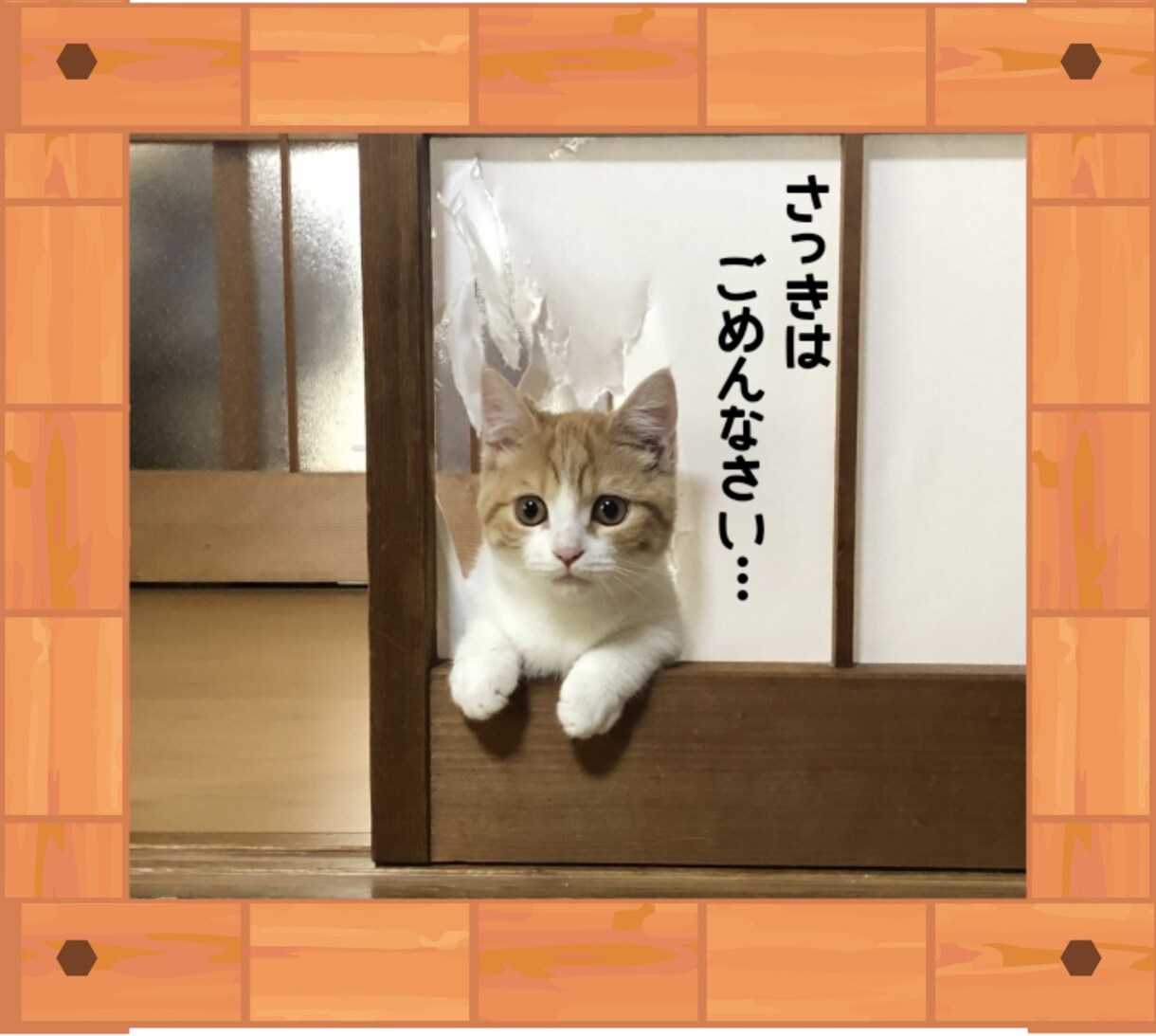 ペットの写真をアレンジしてご提供いたします ペットの写真をさらに可愛らしく、または面白く画像加工します♪ イメージ4