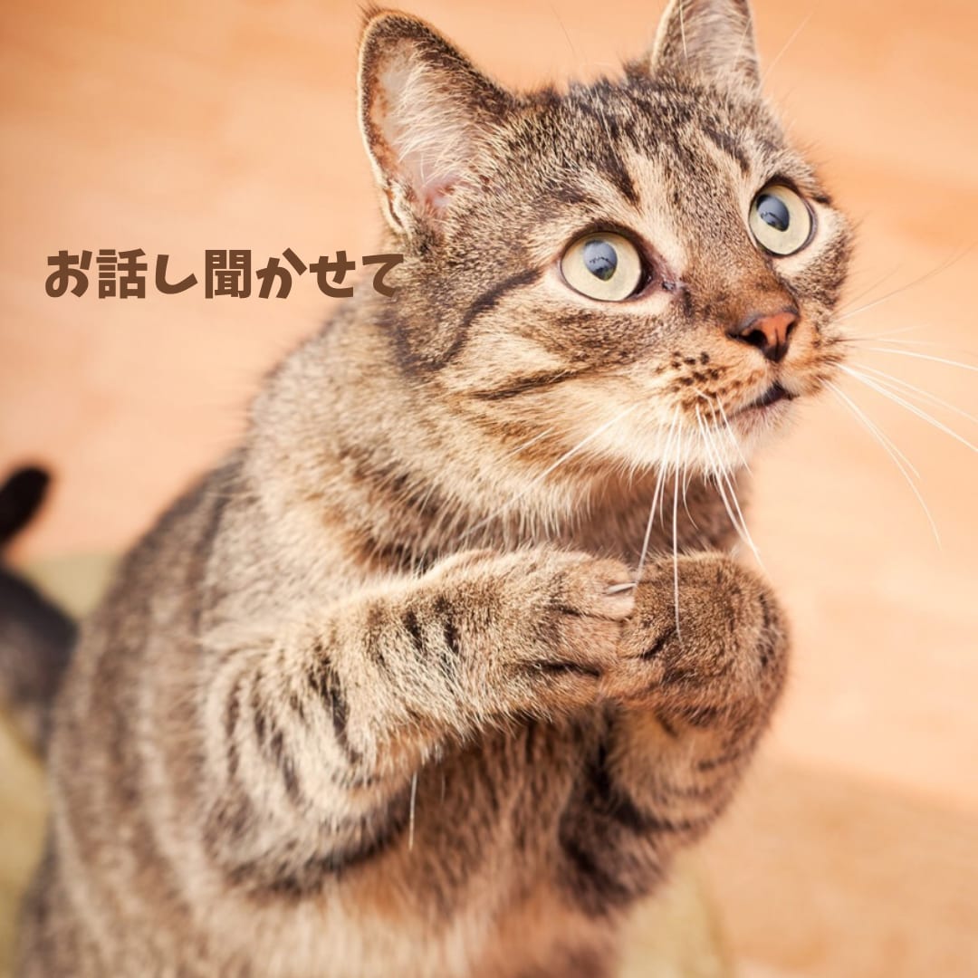 恋人のうつ病に寄り添う方法アドバイスします 恋人がうつ病で悩んでいる方のお話をお聞きします。 イメージ7