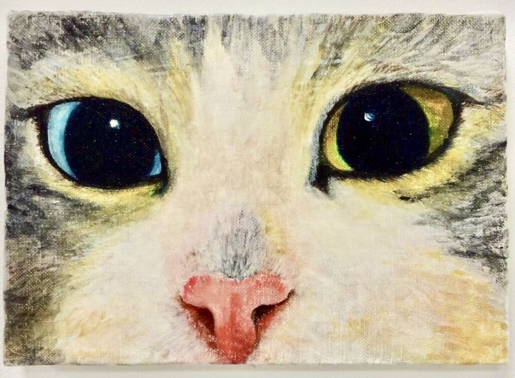 動物の肖像画を画家兼デザイナーがお描きします 手描きならではの温かみを大切にしています イメージ2