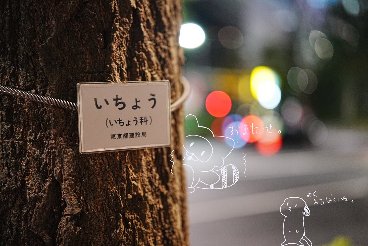 思い出に彩を！お持ちの写真をアートにします 思い出に彩を残すアートでスパイスを加えませんか イメージ2