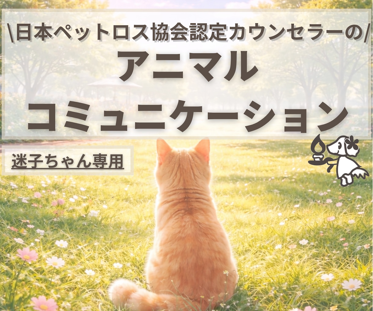 迷子のペットちゃんとお話します 48時間以内にご報告｜うちの子の“いま”を知りたい方へ イメージ1