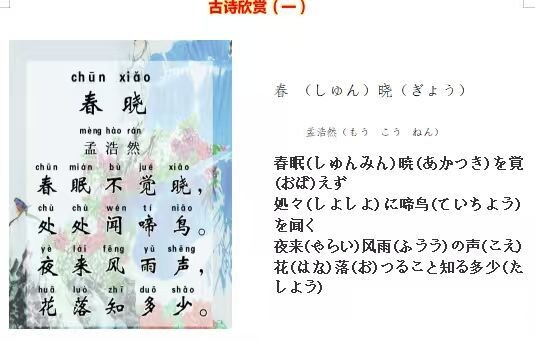 初心者向けのオンライン中国語レッスンします 中国語講師歴１３年以上のベテラン先生です イメージ5