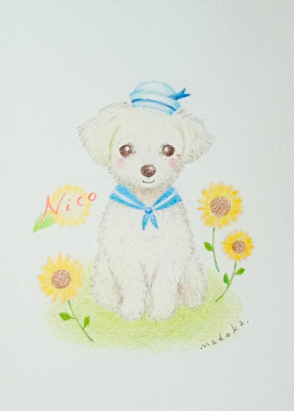 手描きでほんわか優しいペットイラスト描きます 温かみある優しい色鉛筆画。似顔絵、名入れ、思い出、プレゼント イメージ8