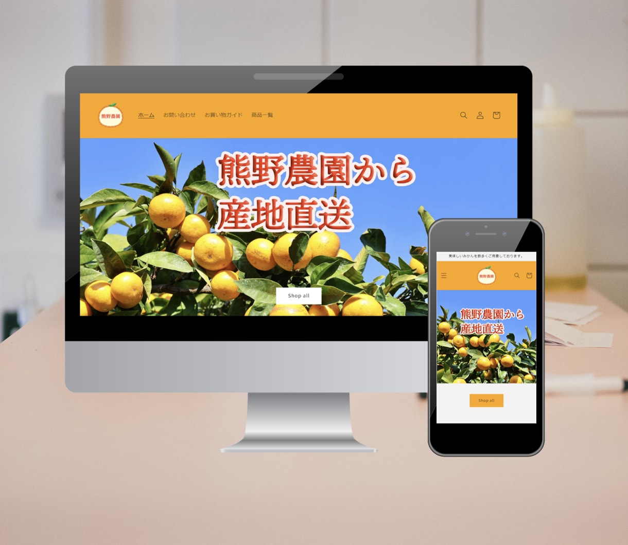 shopifyで本格ECサイト制作をサポートします ShopifyパートナーがECサイトの構築をサポートします！ イメージ2