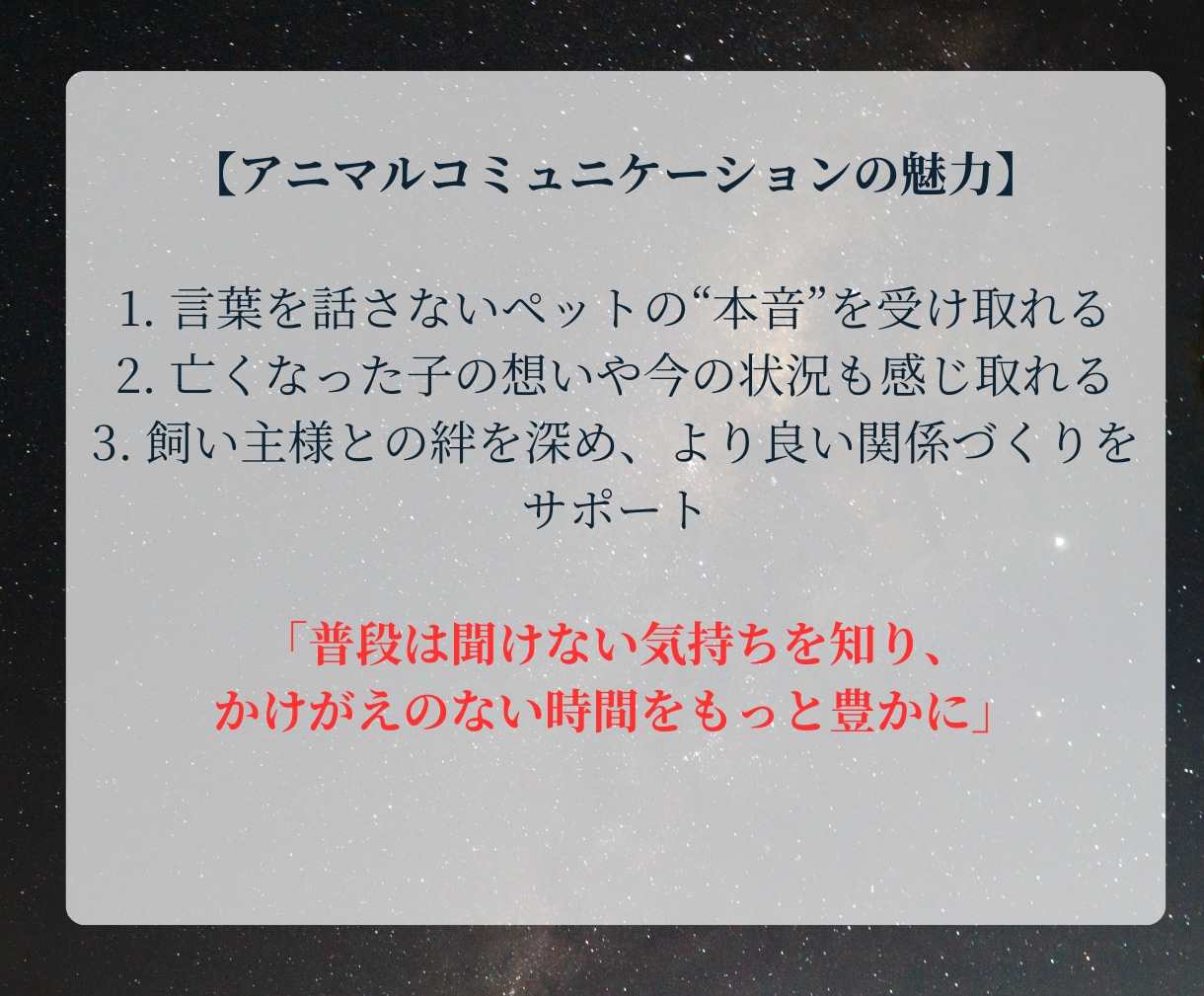 アニマルコミュニケーション｜魂と対話します 亡くなった子も可能。過去世や相性、エネルギー解析もできます イメージ2