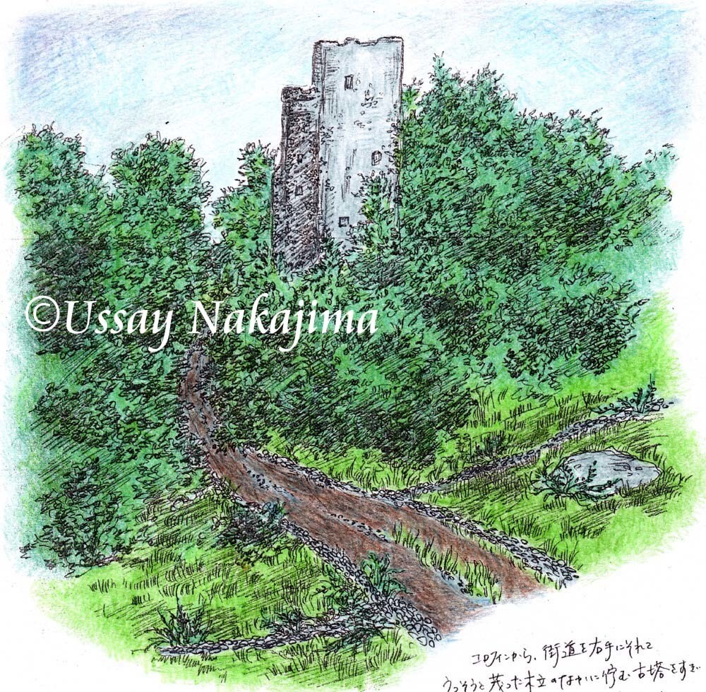 一枚絵を心を込めてお描きします 精緻で彩り豊かなイラスト。表紙、ヘッダ画像、ビジュアルなどに イメージ8