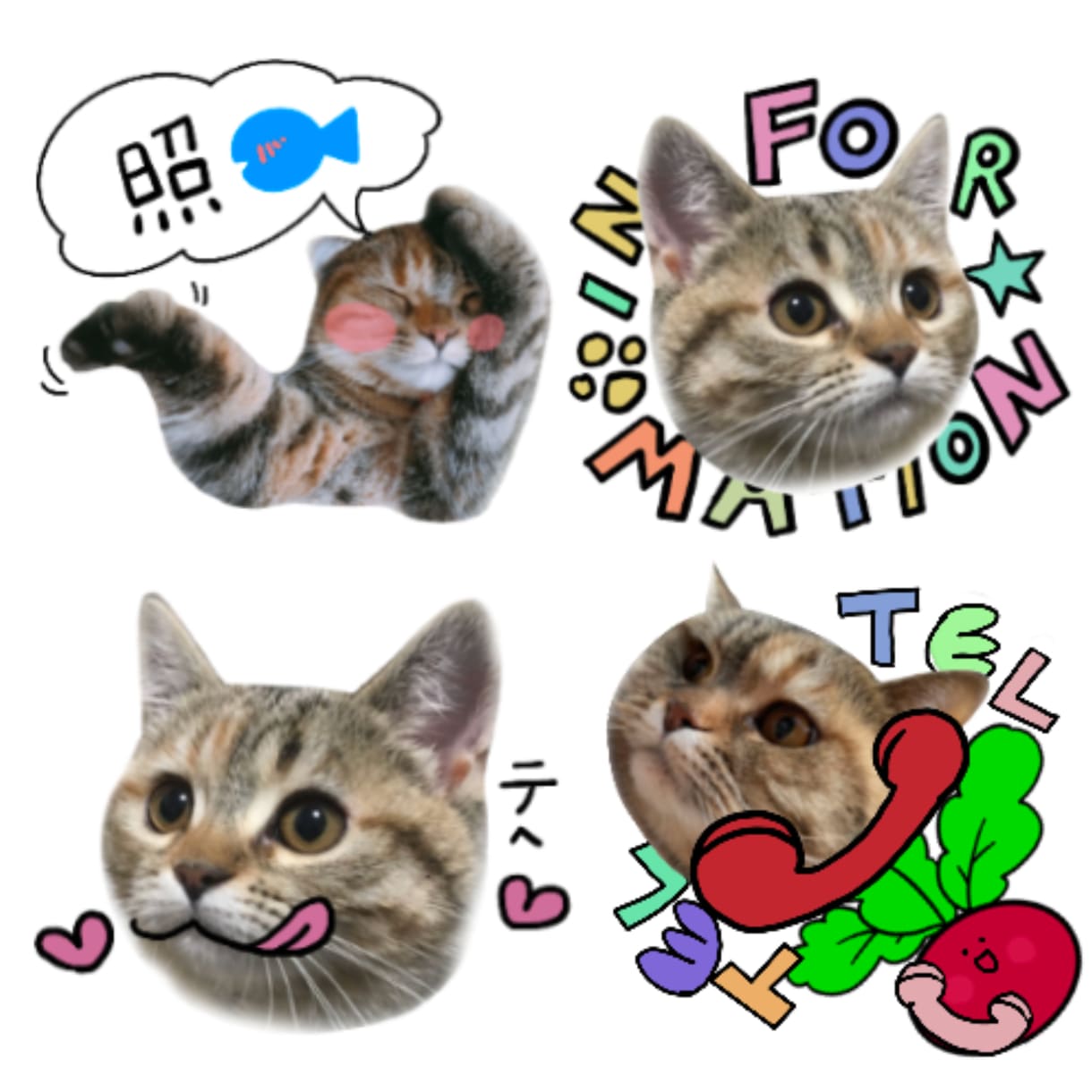 ペットやお子様の可愛いLINEスタンプお作りします 世界に一つだけのオリジナルスタンプを心を込めておつくりします イメージ3