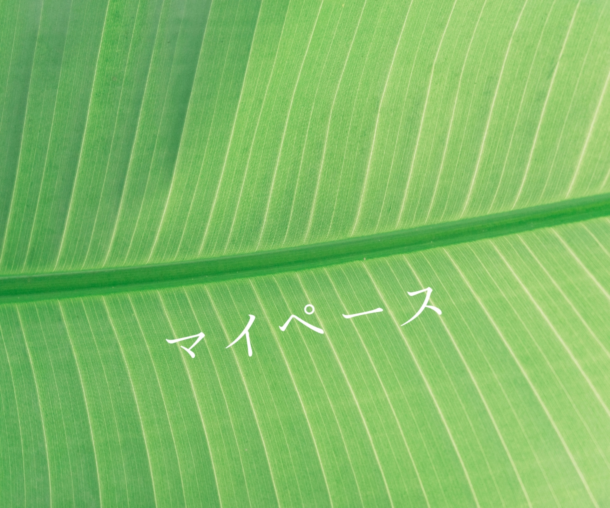 1分からOK！INFPさんのお話をお聴きします どんな話題でもOK！同じくINFPが話し相手になります。 イメージ3