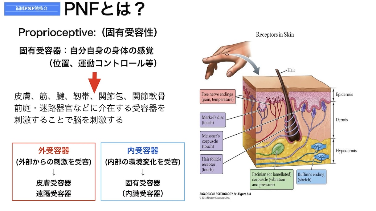 リハビリ/臨床の悩みを認定理学療法士が解決します 臨床推論/評価・動作分析/アプローチ方法/治療手技/症例相談 イメージ10