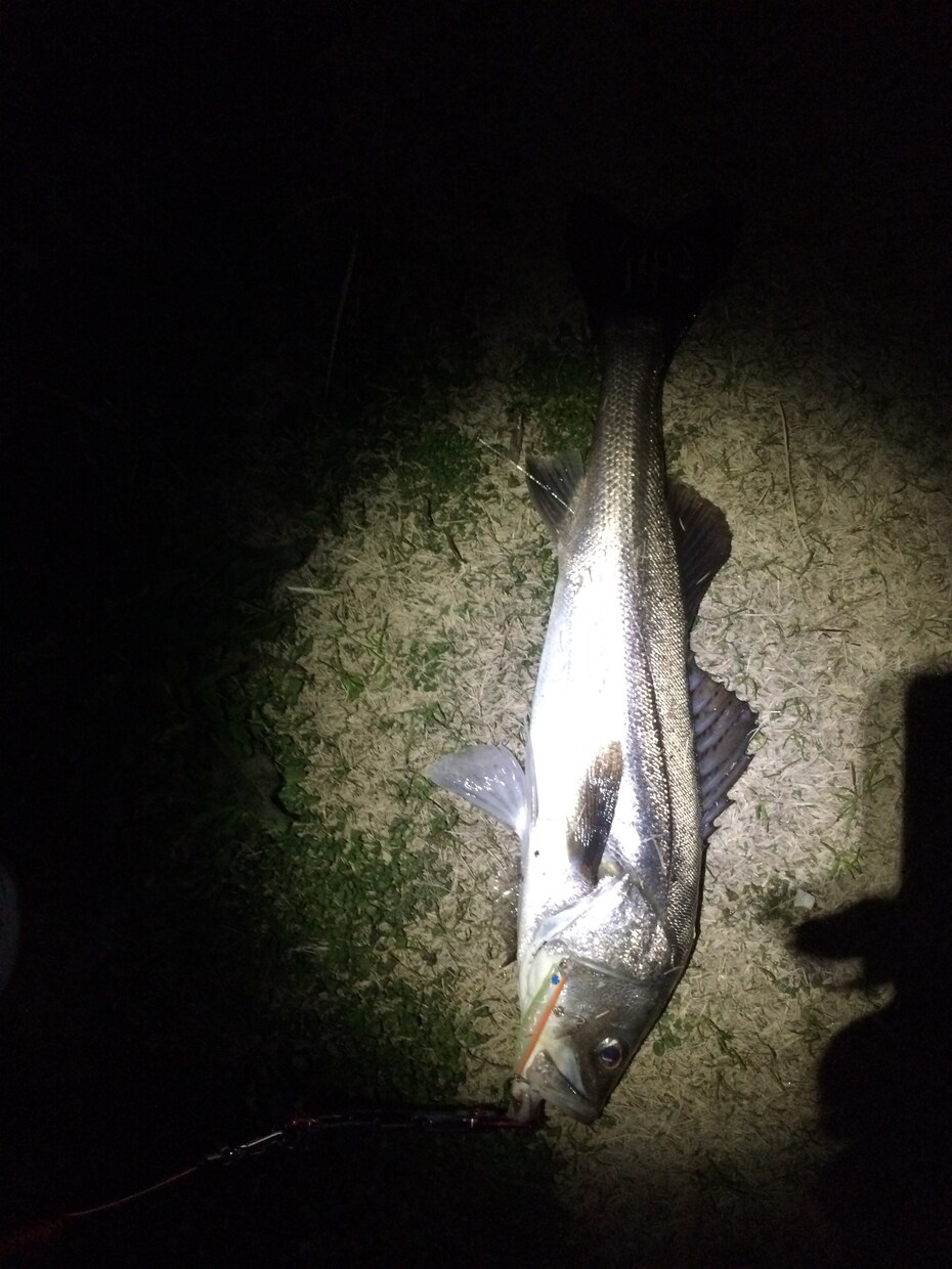 釣り相談解決します イメージ1