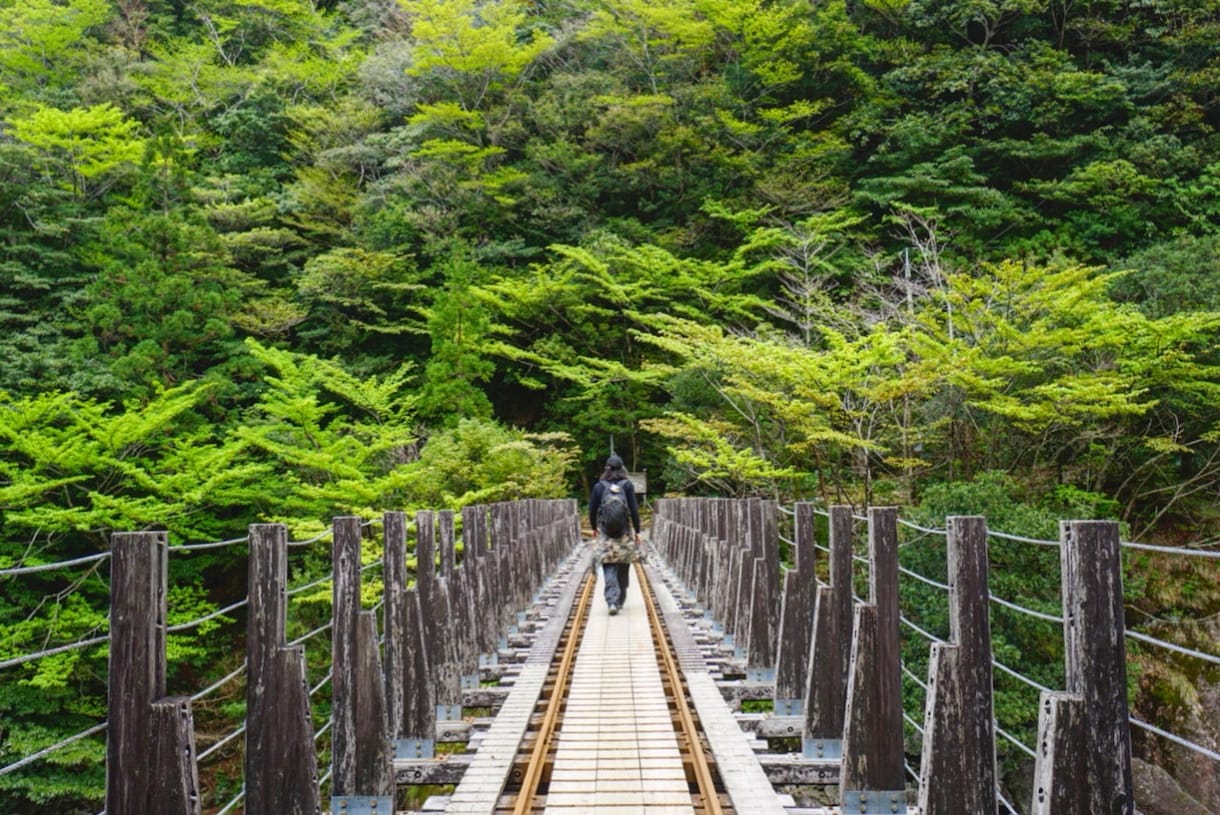 東南アジア、インド、屋久島、四国の旅情報を書けます 旅に関心のある全ての人へ。なんでもお聞きください。連載もOK イメージ1