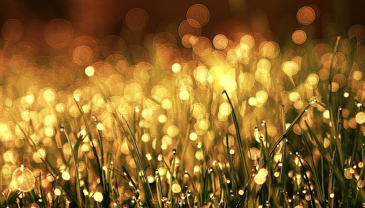 過去のトラウマを改善。潜在意識から悩み消します スピリチュアルと脳の力であなた世界を素晴らしいものに変える。 イメージ7