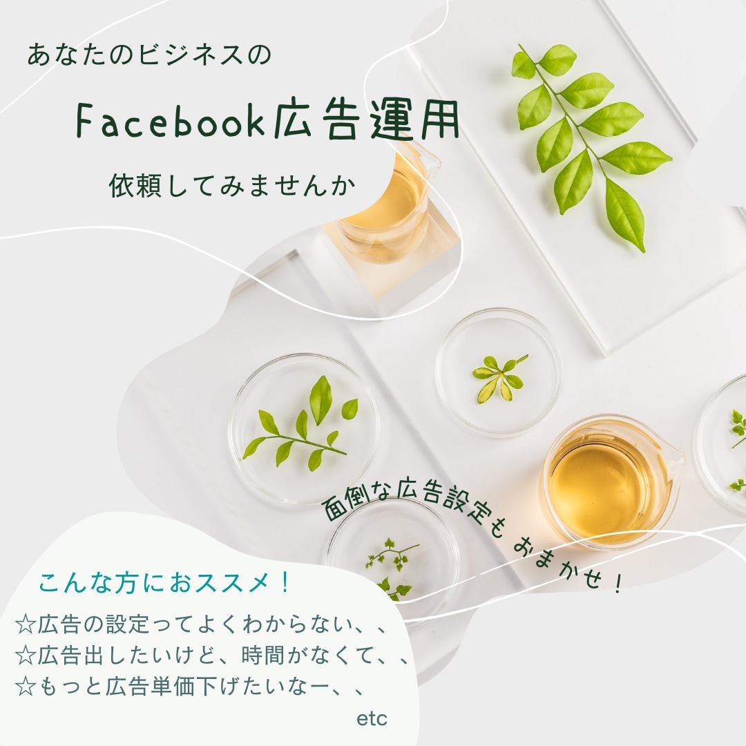 Facebook広告について相談にのります 集客を自動化して売り上げを大きく伸ばしたい方へ！ イメージ1