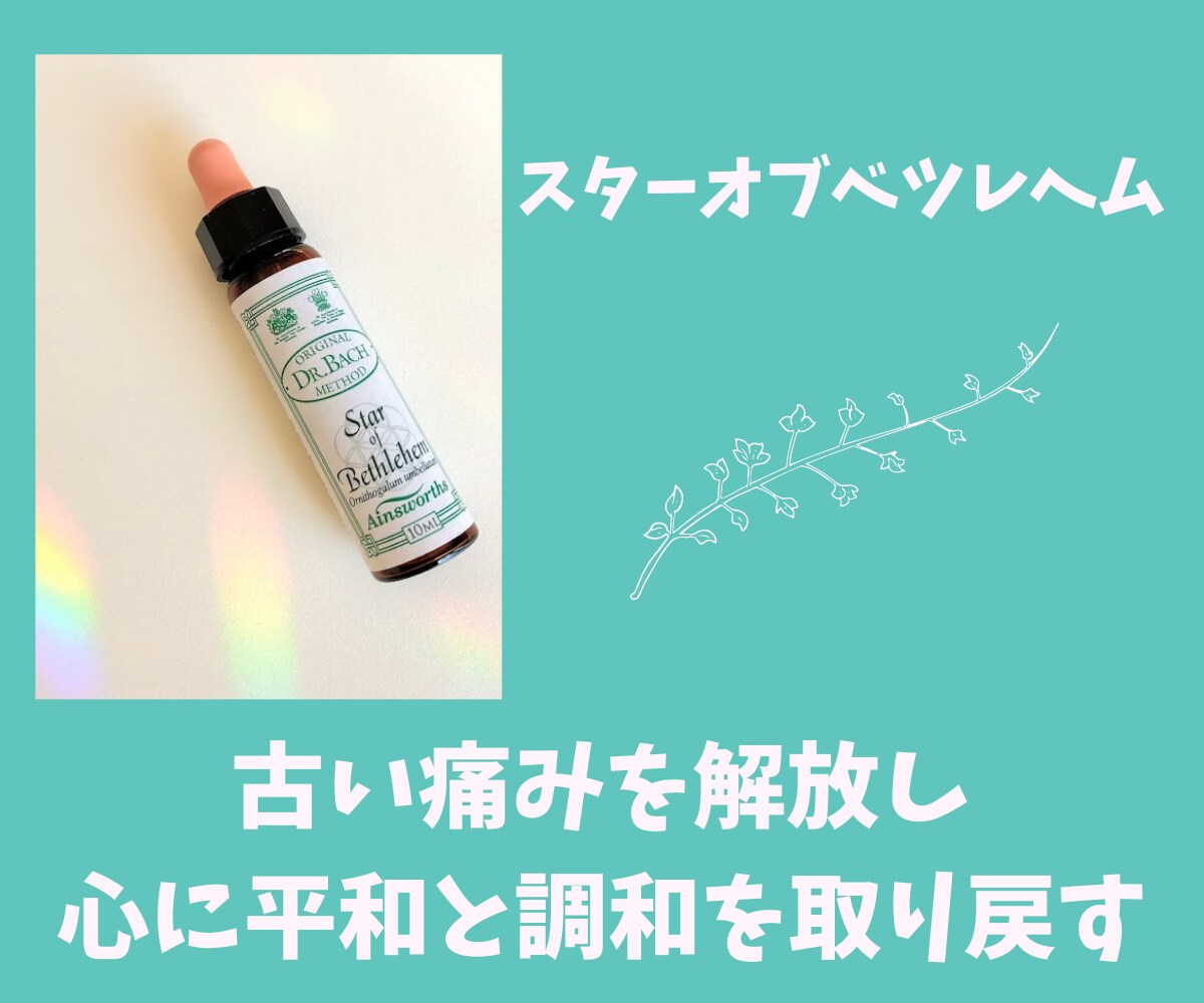 バッチフラワー✨プライベートレッスン✨教えます 自然からの贈り物✨植物の波動を使った心を癒し整える自然療法✨ イメージ9
