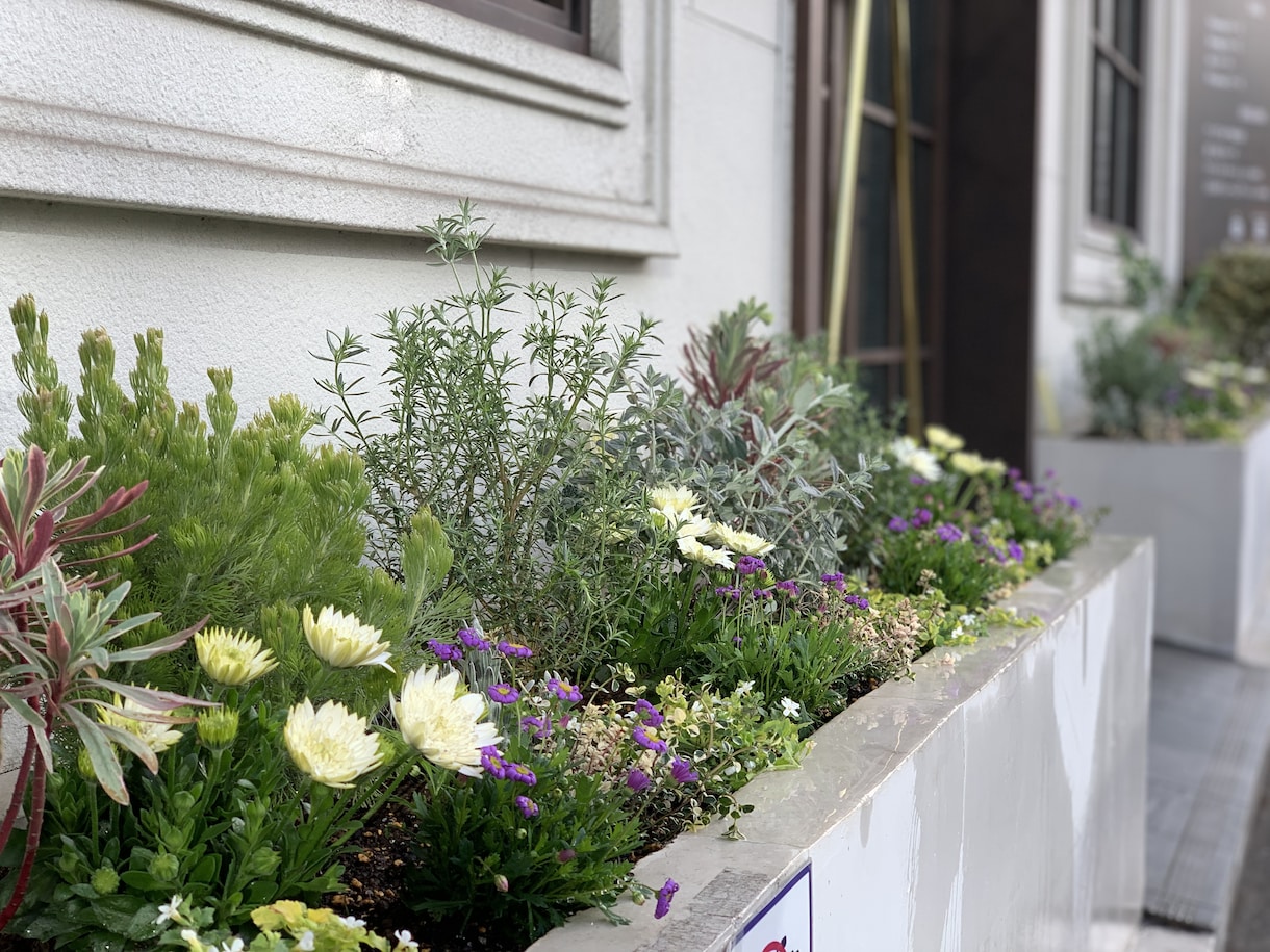 花壇・寄せ植えの植栽デザイン提案します 写真を基に､完成イメージ付きで分かりやすく提案 イメージ2