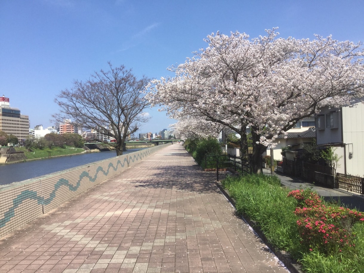 お気軽にどうぞ。愚痴でも何でも聞きます 今、不安な方、気持ちを全部吐き出してみてください。 イメージ2