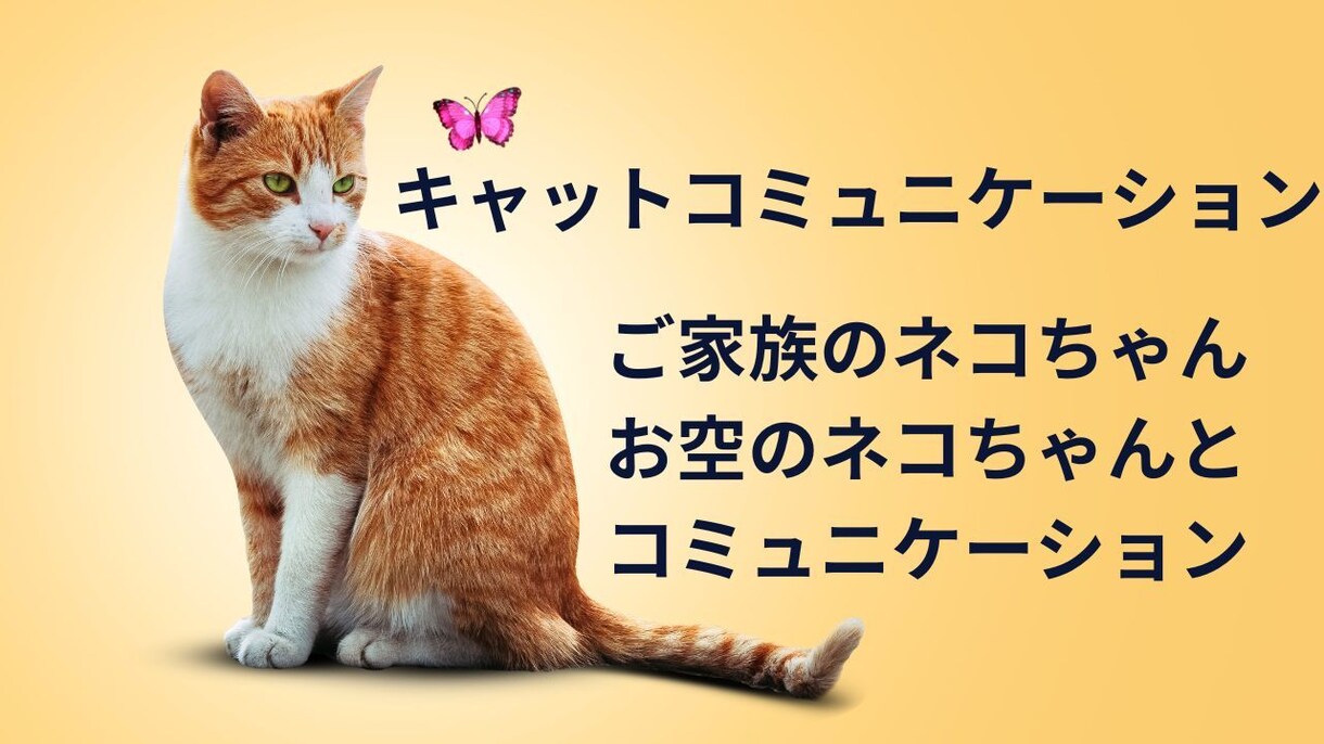 キャットコミュニケーション　鑑定致します ご家族のネコちゃんお空のネコちゃんとコミュニケーション イメージ1