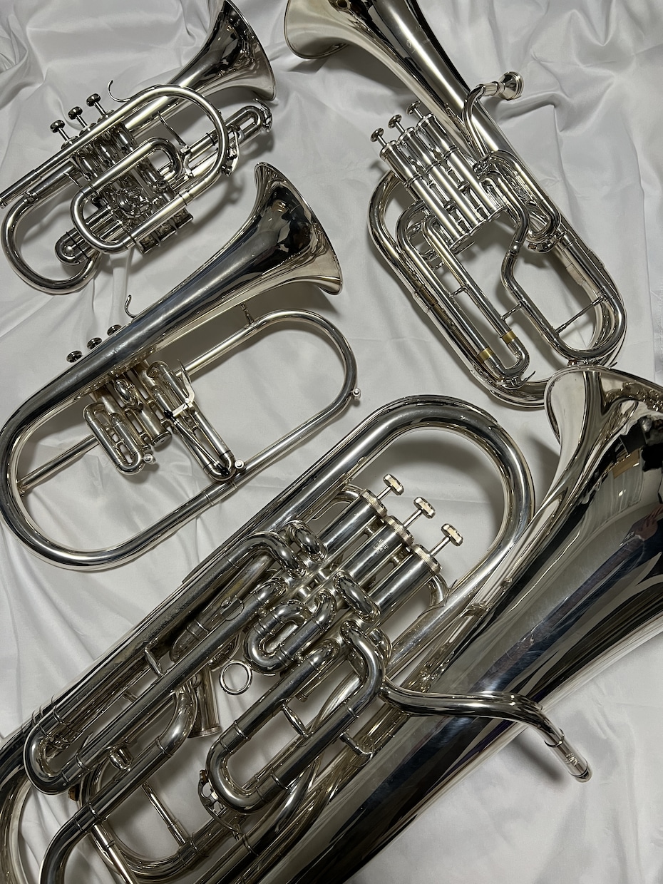 トランペット、ホルンなど金管楽器の録音します 職業演奏家の演奏で楽曲の録音します。金管楽器全般可能です。 イメージ1